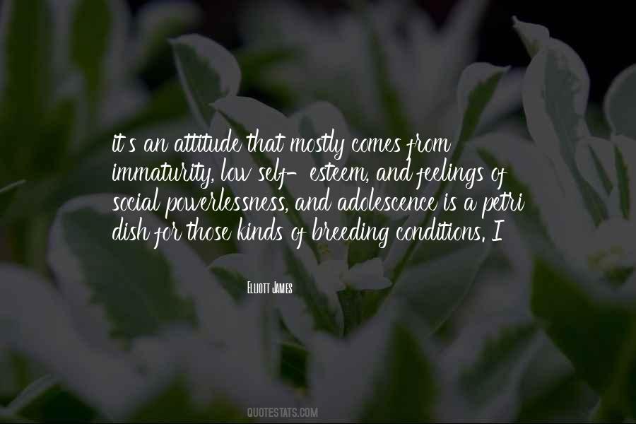 Quotes About Powerlessness #1331507