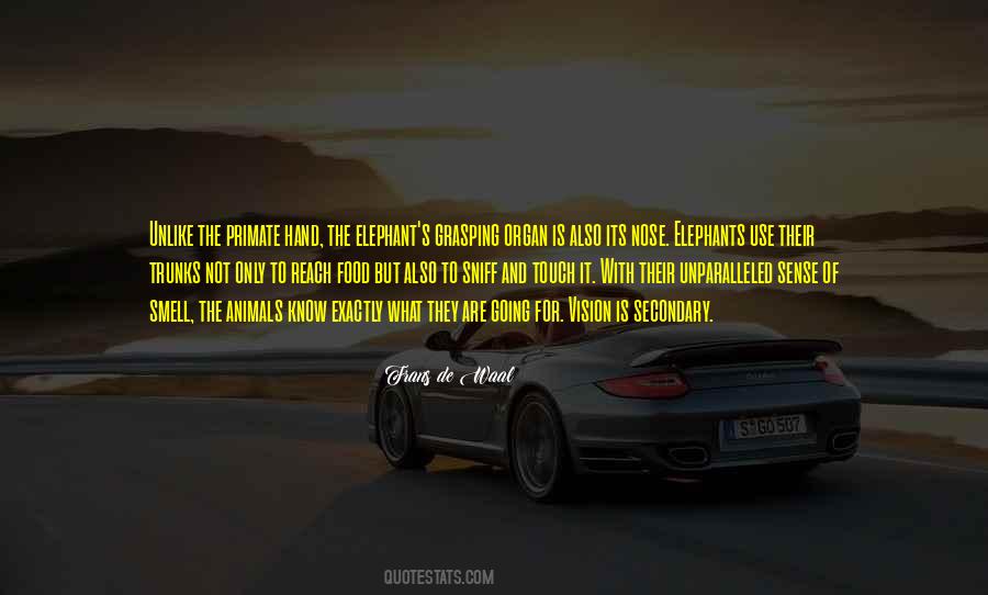 Quotes About Kampante #760695