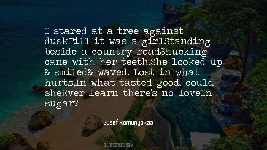 Lost Country Quotes #287114