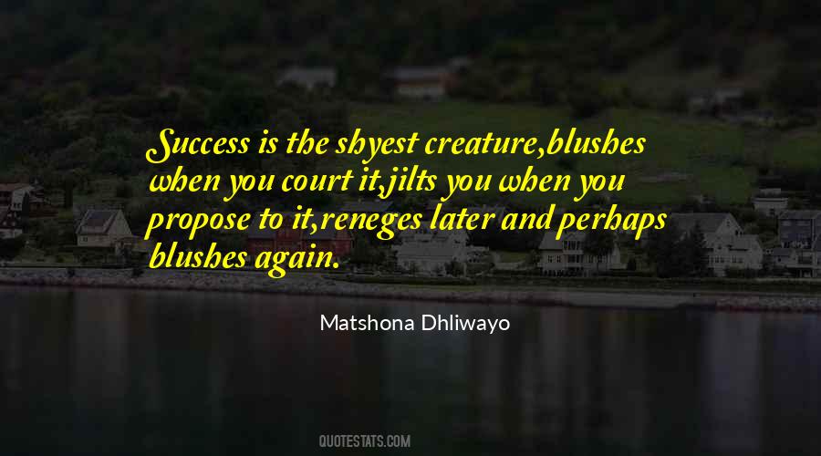 Success Is When Quotes #256504