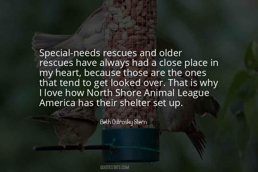 Quotes About Animal Shelter #109241