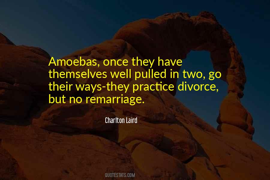 Quotes About Amoebas #1538093