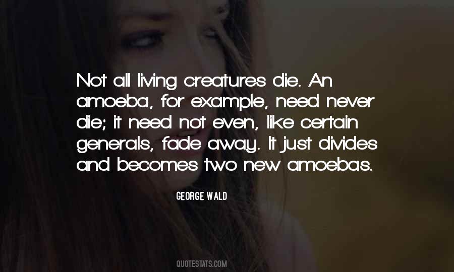 Quotes About Amoebas #31846