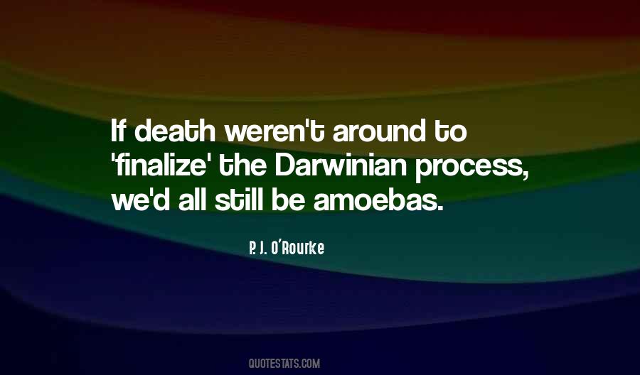 Quotes About Amoebas #340604