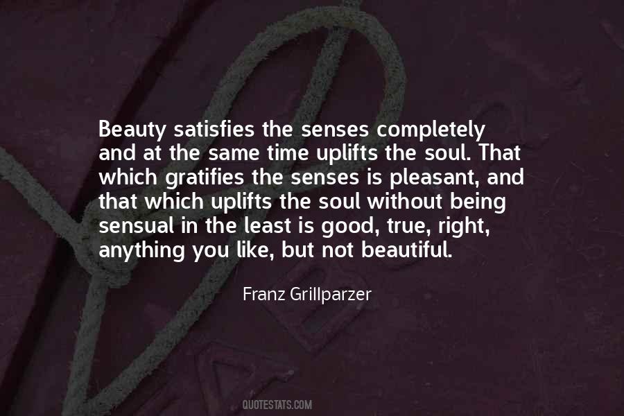 Soul Senses Quotes #1124281