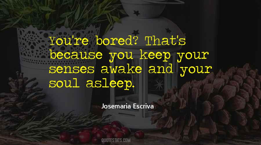 Soul Senses Quotes #1196302