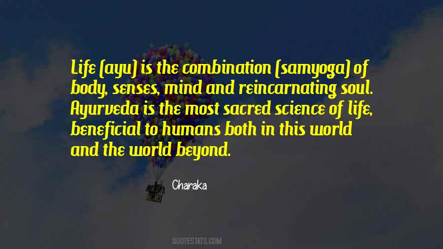 Soul Senses Quotes #1823124
