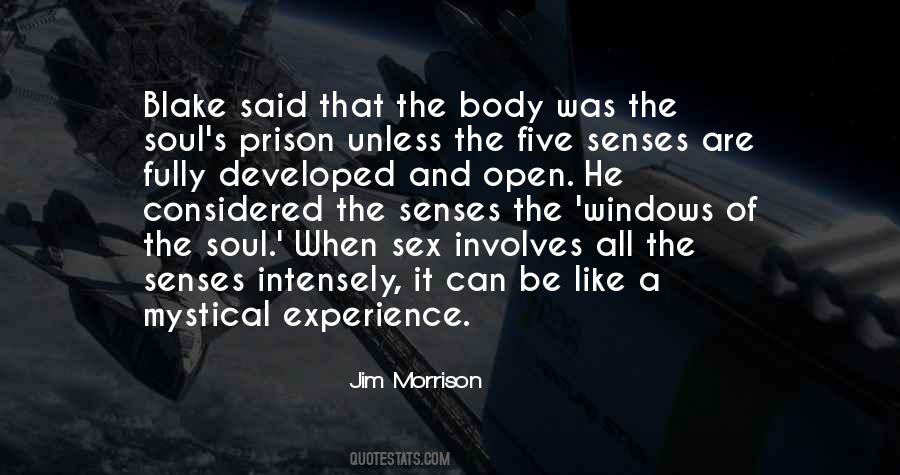 Soul Senses Quotes #219553