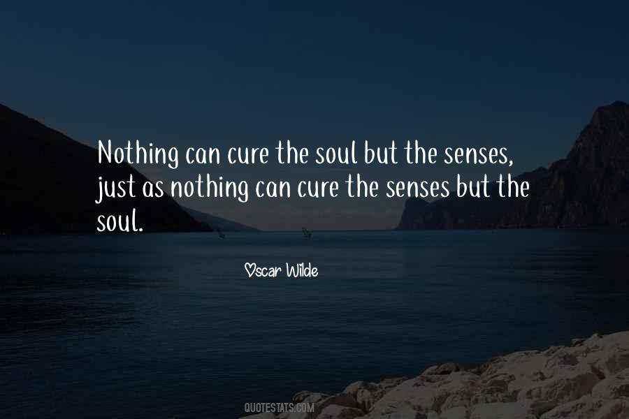 Soul Senses Quotes #237577