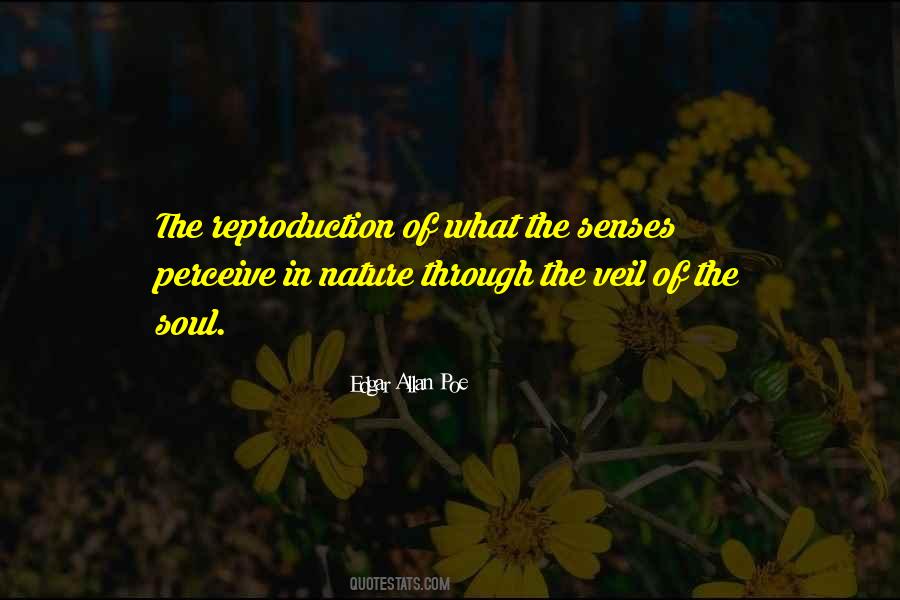 Soul Senses Quotes #335640