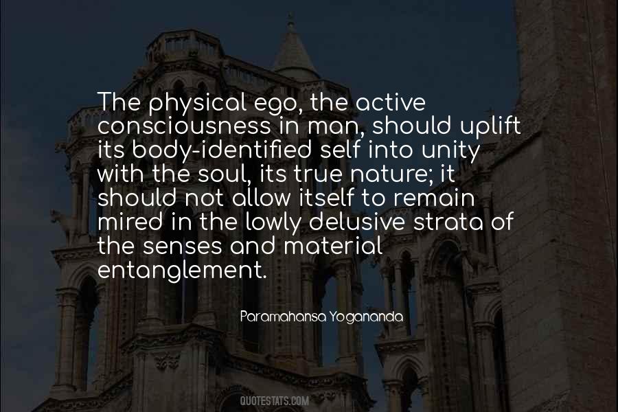 Soul Senses Quotes #707715