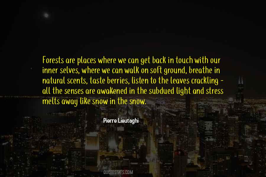 Soul Senses Quotes #947098