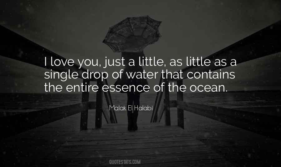 The Essence Of Love Quotes #456467