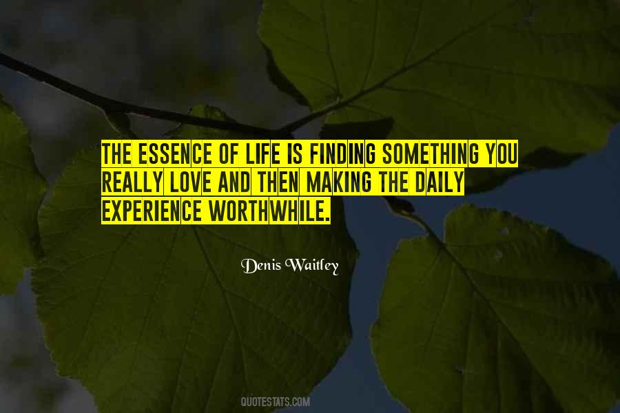 The Essence Of Love Quotes #862324