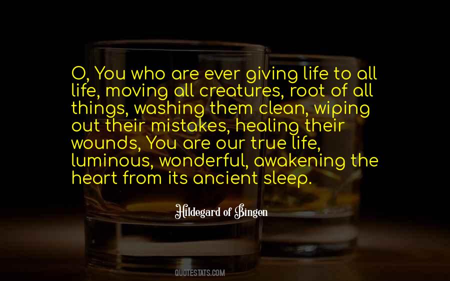Quotes About Mistakes And Moving On #273411