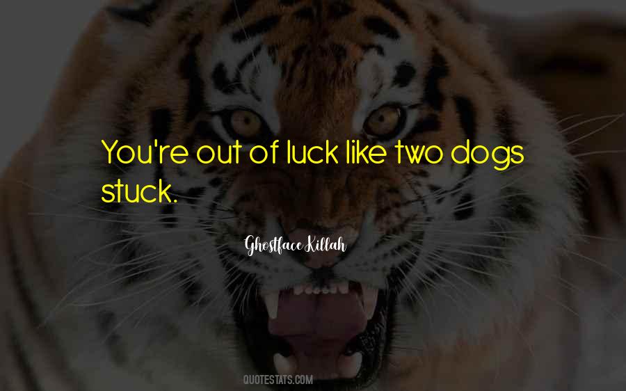 Quotes About Having Two Dogs #254015