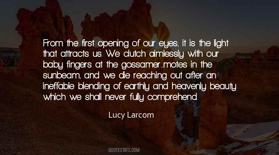 Quotes About Beauty In The Eyes #1391834