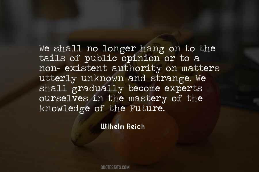 Quotes About Unknown Future #188775