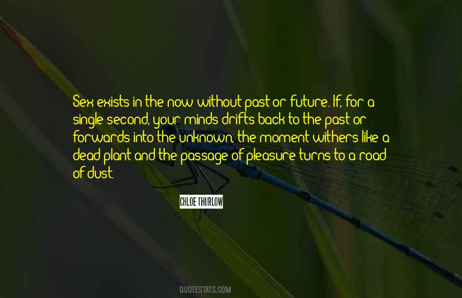 Quotes About Unknown Future #615644