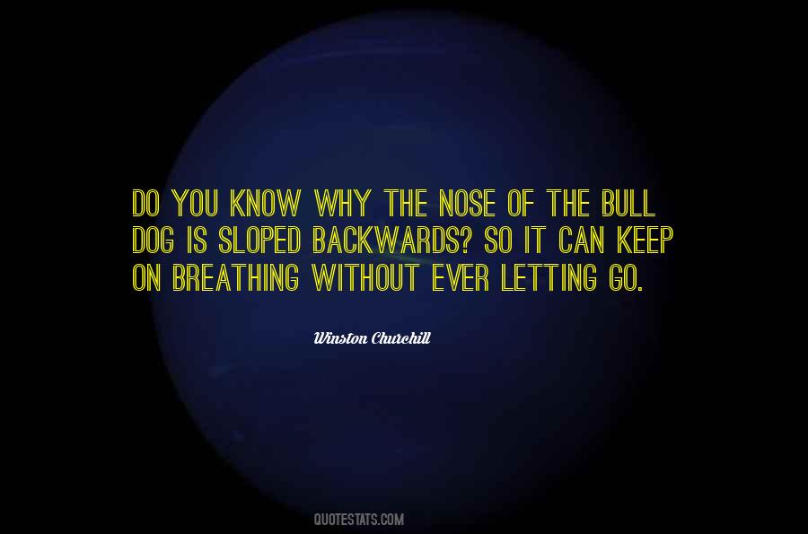 Quotes About A Dog's Nose #1146059