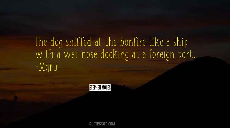 Quotes About A Dog's Nose #1547627