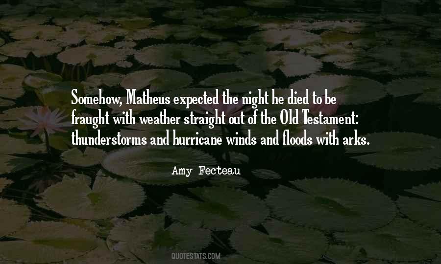 Quotes About Thunderstorms #1121442