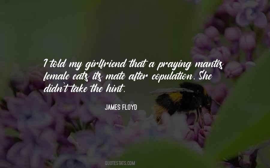 Quotes About Praying Mantis #1565515