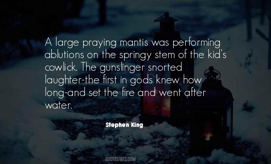 Quotes About Praying Mantis #950643