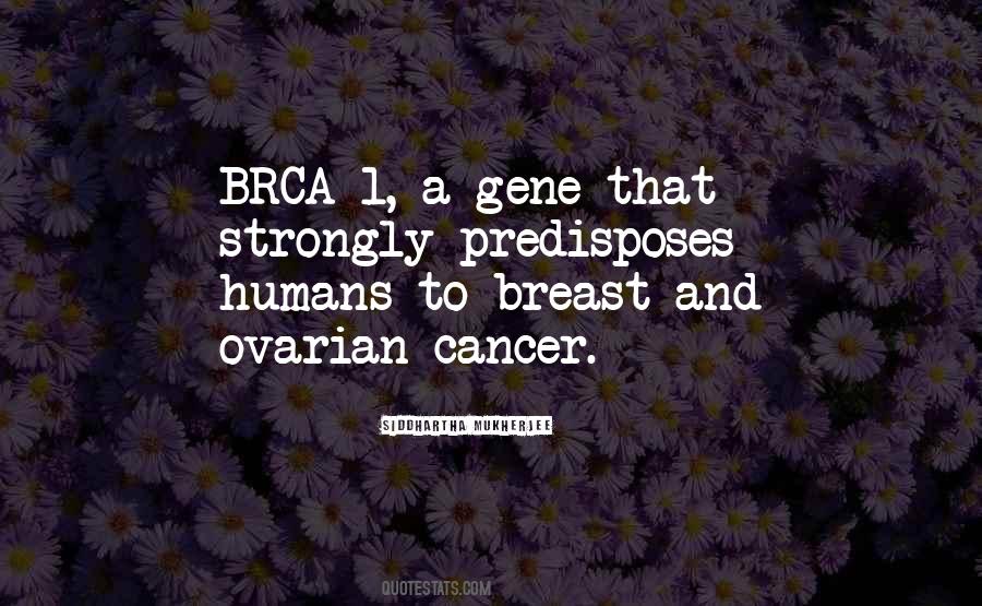 Quotes About Ovarian Cancer #237495