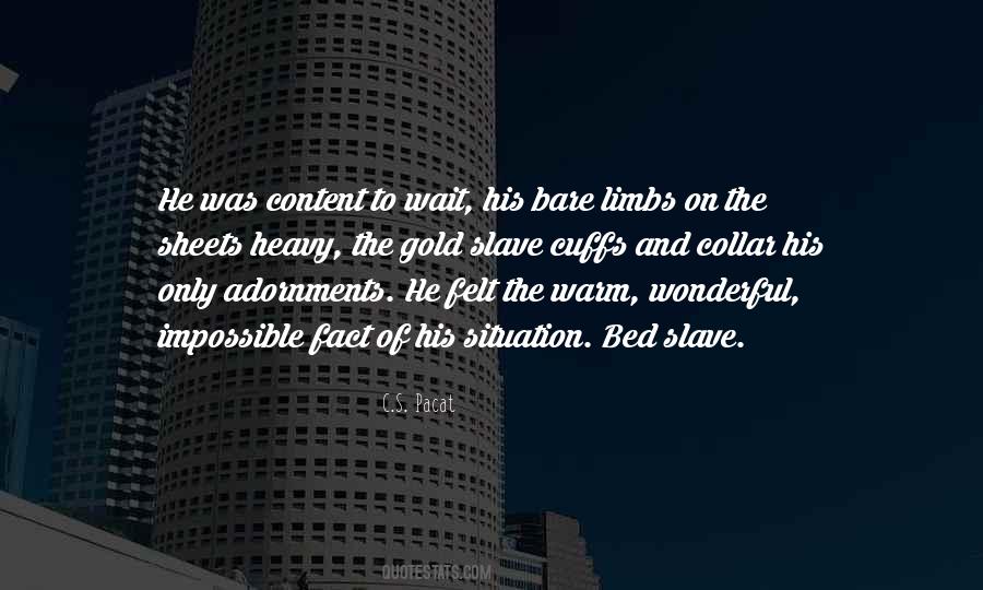 Quotes About Woman Suffrage #1467377