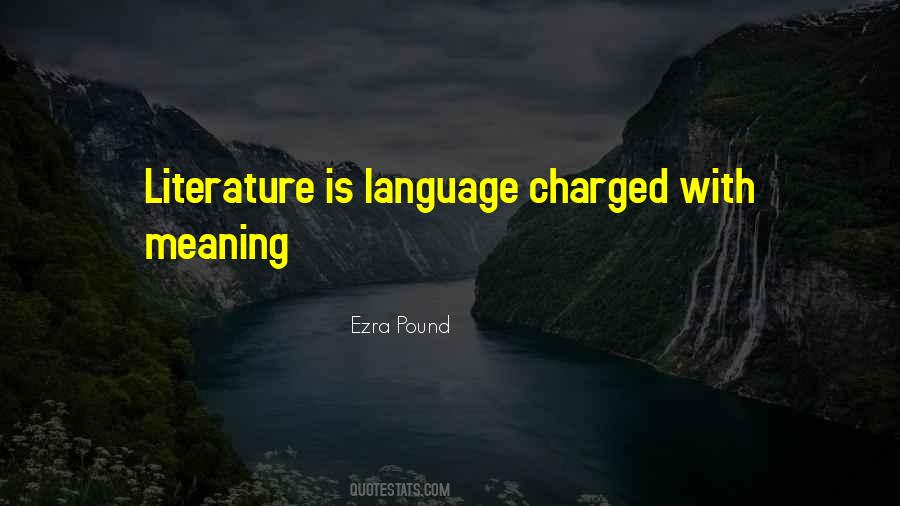 Meaning In Literature Quotes #1108692