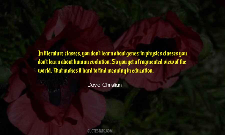 Meaning In Literature Quotes #1436862