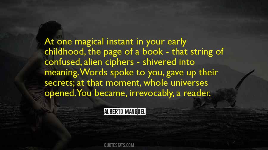 Meaning In Literature Quotes #1845546