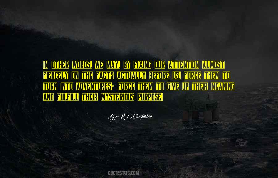 Meaning In Literature Quotes #74302