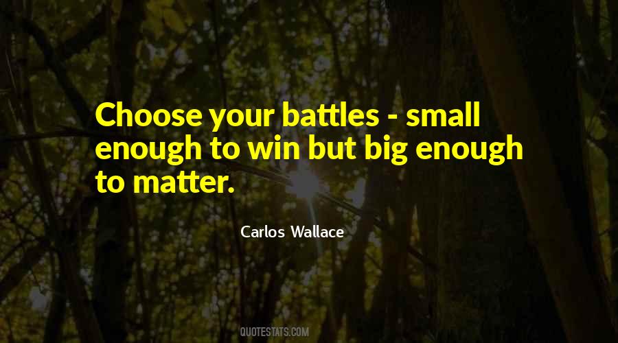 Life Battles Quotes #520715