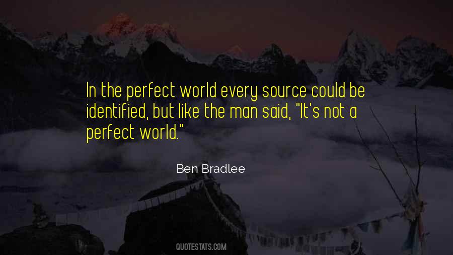 Quotes About The Perfect World #645644