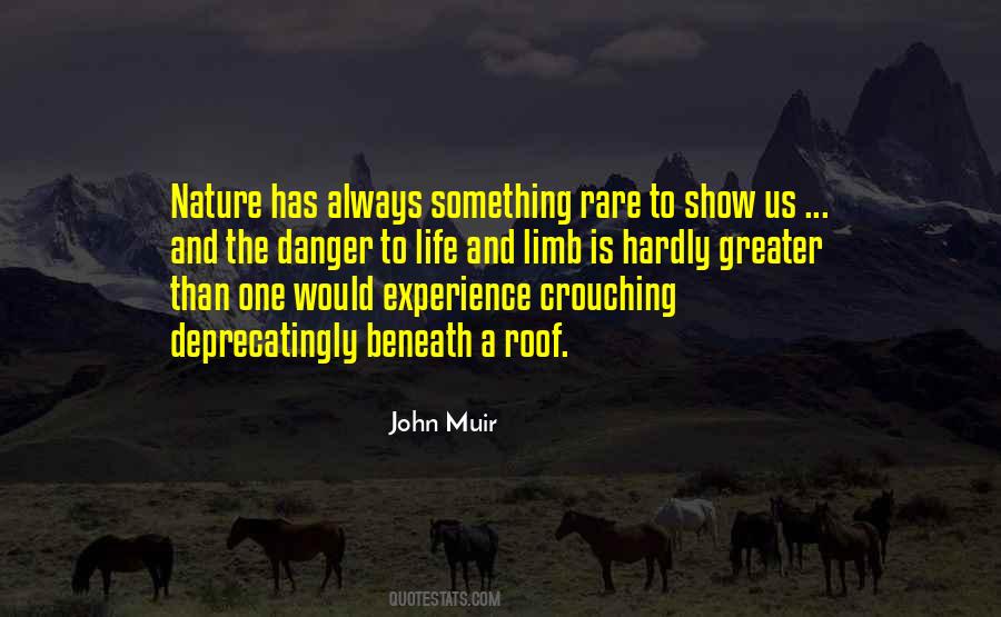 Quotes About Going Out On A Limb #77623