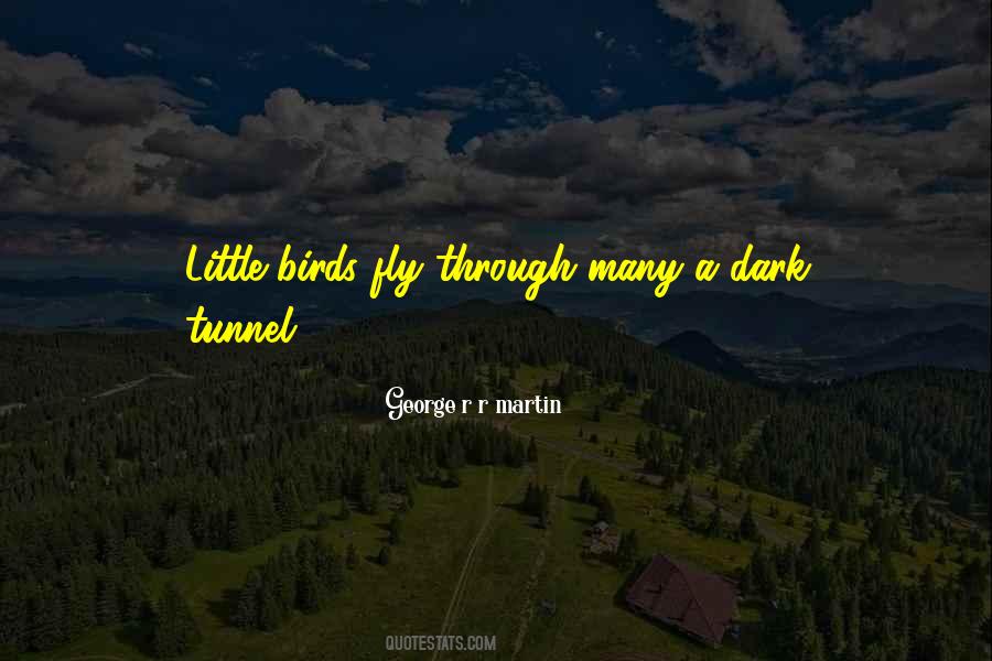 Dark Tunnel Quotes #343404