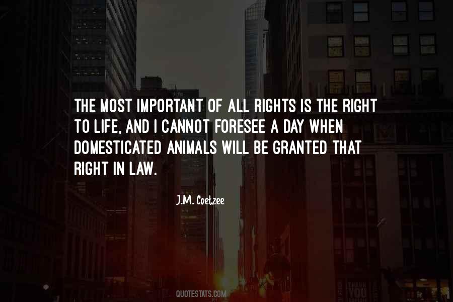 Quotes About Animals Rights #1192375