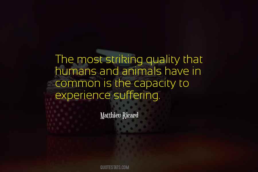 Quotes About Animals Rights #1251752