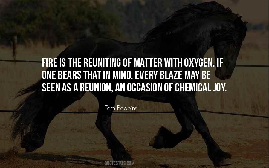 Quotes About Reunion #802004
