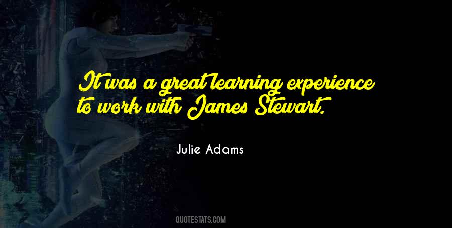 Quotes About Experience Learning #116341