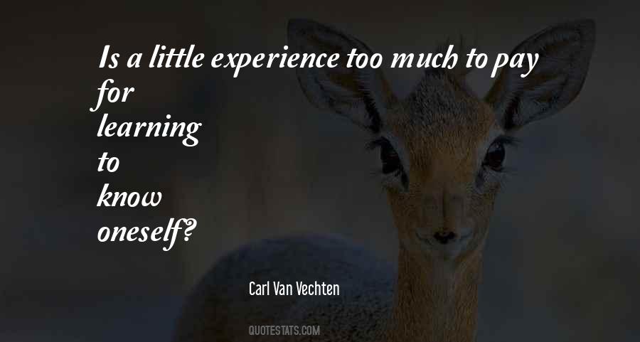 Quotes About Experience Learning #90346