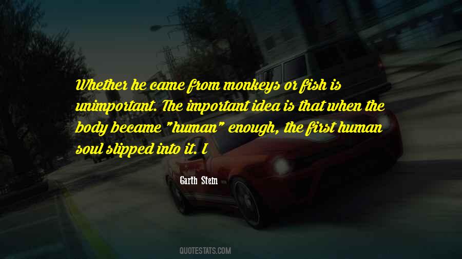 Quotes About Monkeys #292637