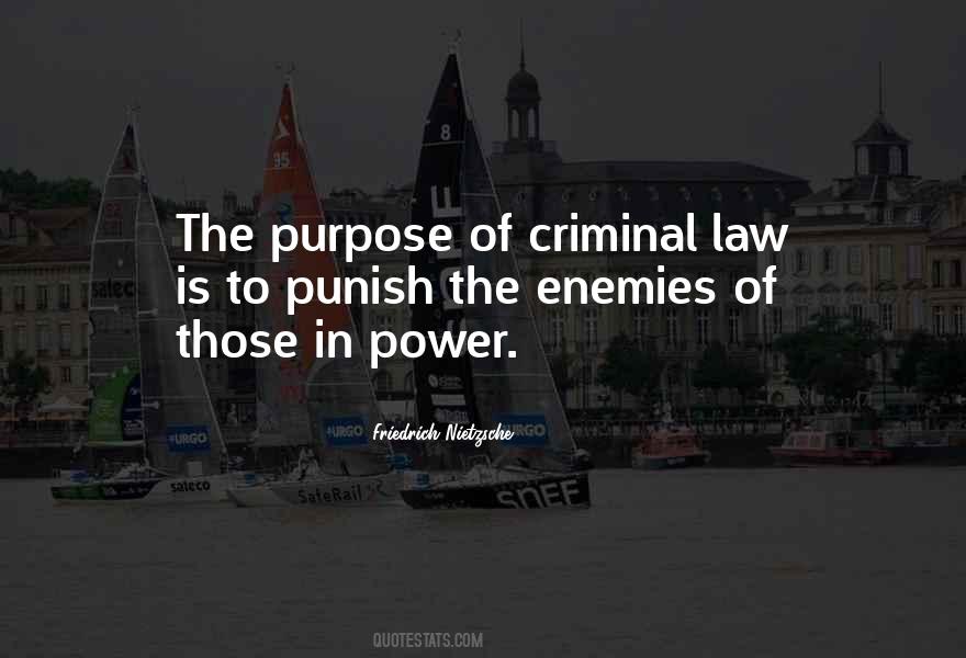 Quotes About Criminal Law #1597348