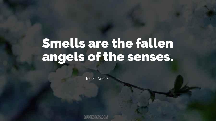 Quotes About Senses #1695506