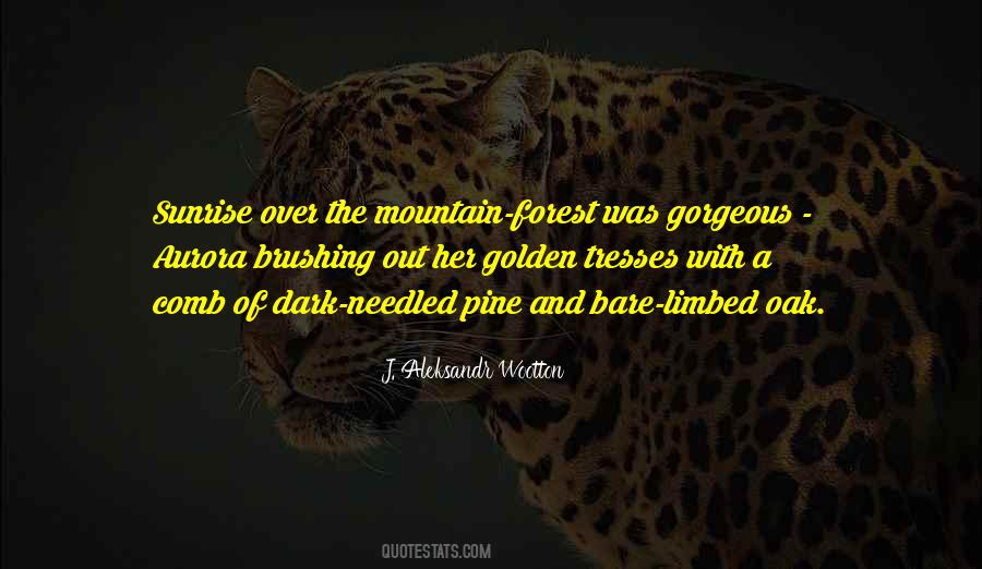 Quotes About Hiking In The Mountains #674359