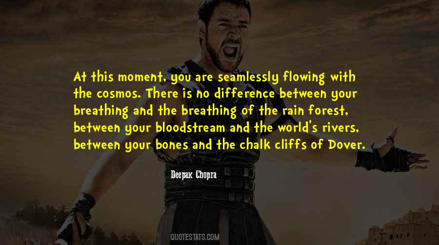 Rain Forest Quotes #549361