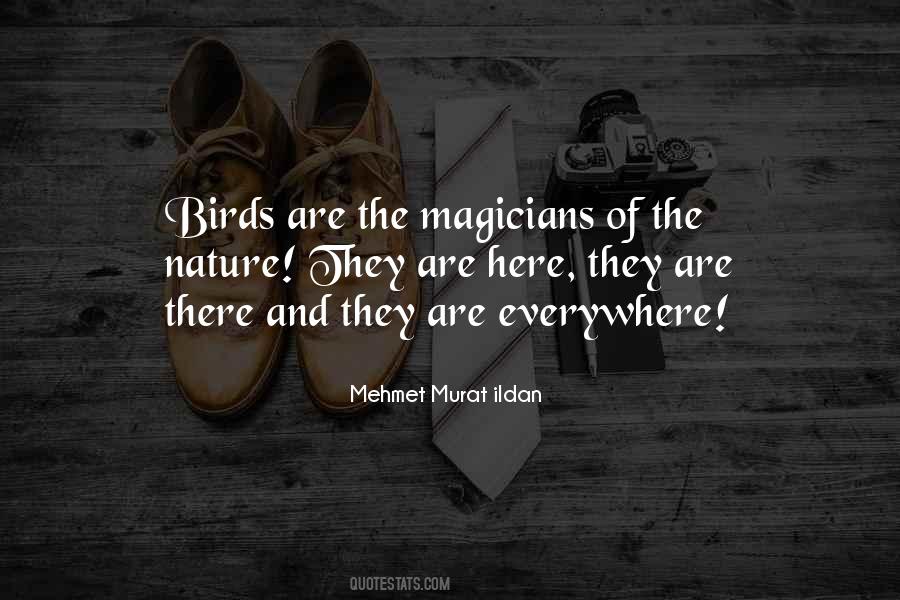 Quotes About Magicians #861943
