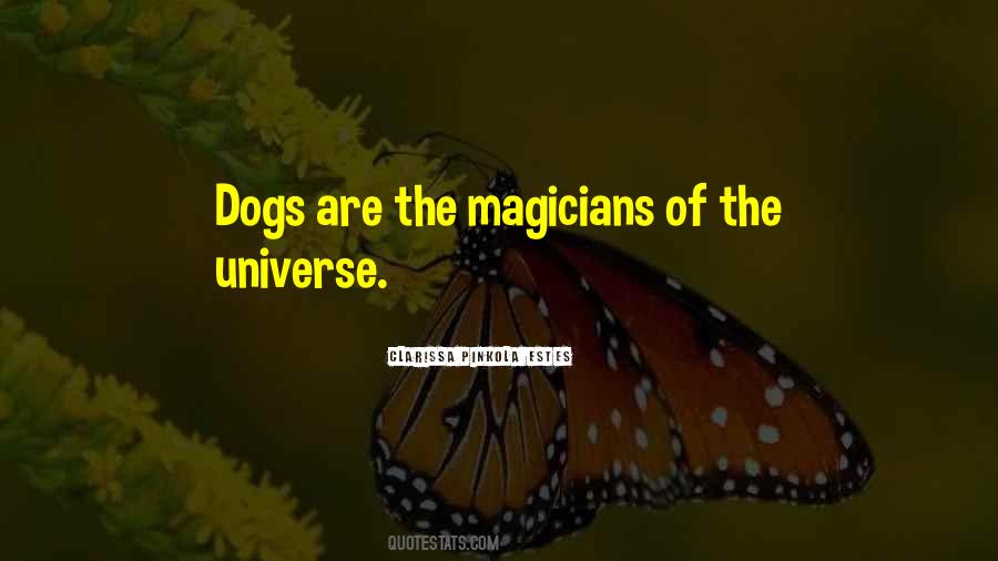 Quotes About Magicians #952944